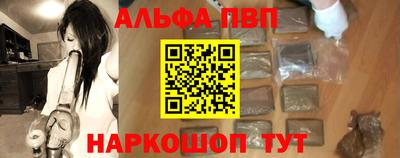 стаф Новокубанск