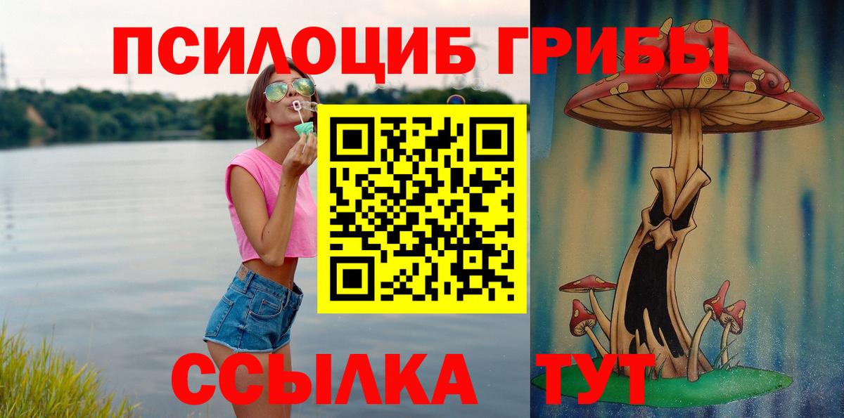Тулун  Галлюциногенные грибы мухоморы  Вход с VPN  Псилоцибиновые грибы мицелий 
