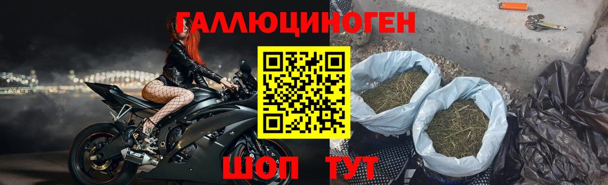 Галлюциногенные грибы мухоморы Тулун