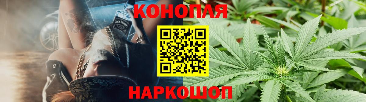 Каннабис конопля  Конопля White Widow  МАРИХУАНА планчик  МАРИХУАНА план  Тулун  Вход с VPN 